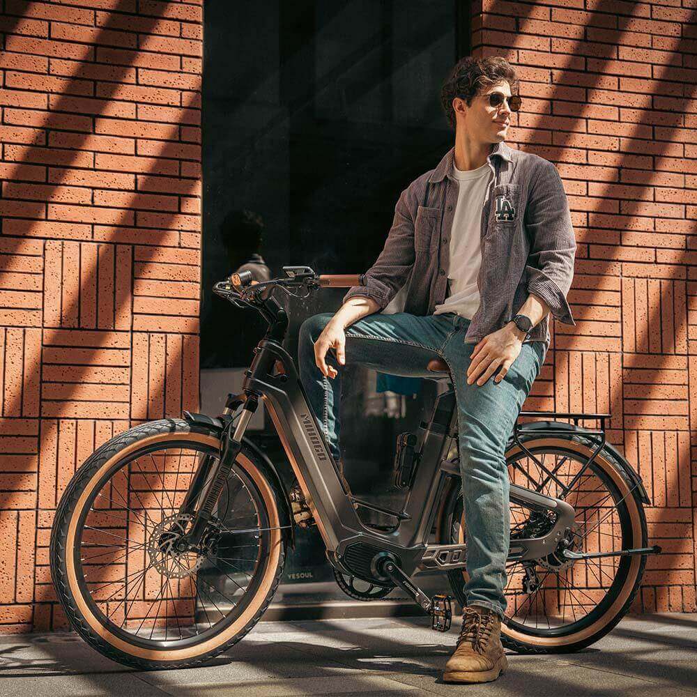 Mihogo Air Max Carbon Fiber E-Bike
