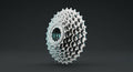 R1 Freewheel